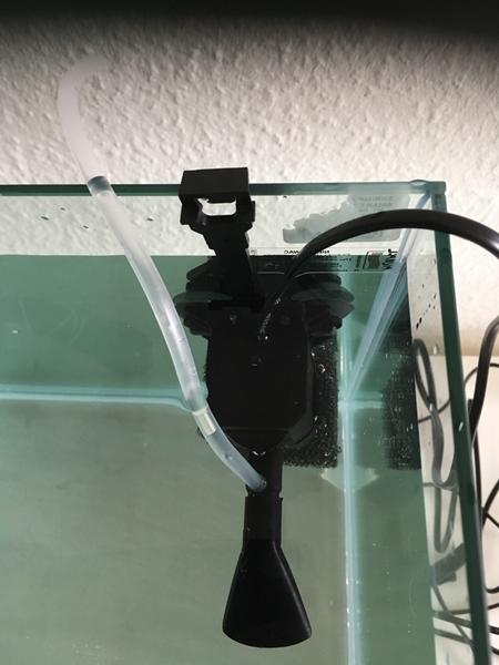 Akvarie nybegynder?!