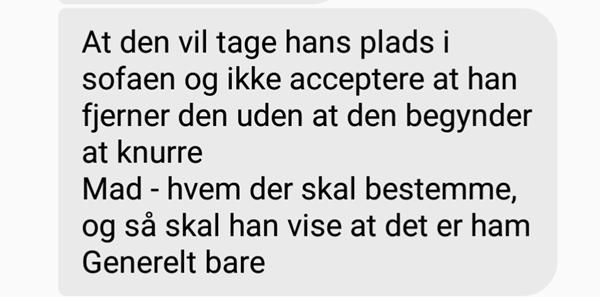 hanhunde og magtkampe