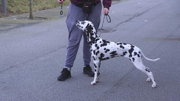 Fodring, for forudsigeligt?