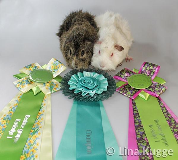 .. og nu til noget helt andet