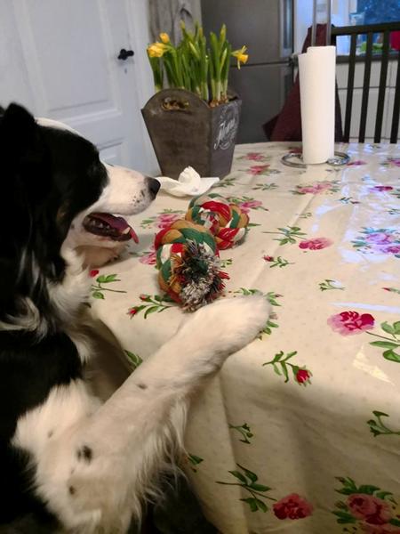 Møgunge !!  Du bliver snart sat til salg 