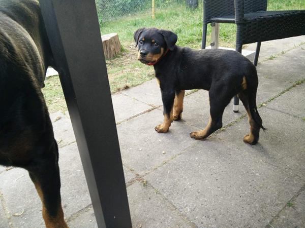 IPO Nordjylland - hvor?