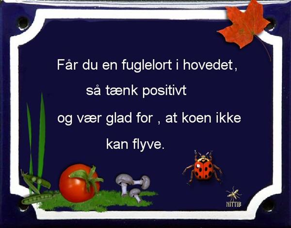 Vi må have en POSITIV tråd .... 