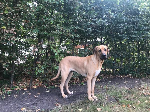 Så blev damen 1 år.