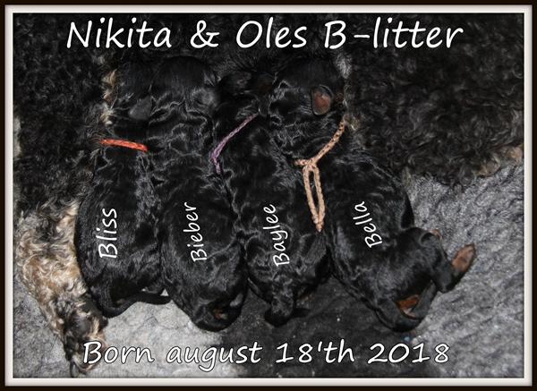 B-kuldet er landet <3 