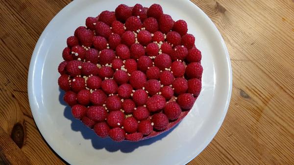 Vegansk kage