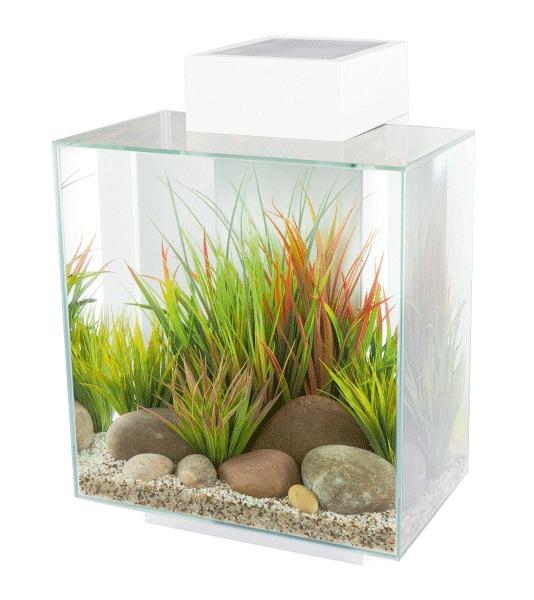 Har vi nogen (designer) akvarium eksperter?