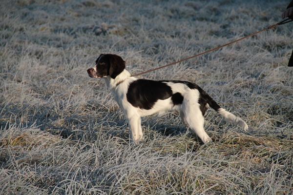 Hvem var det herinde der var skrap til billed redigering ?