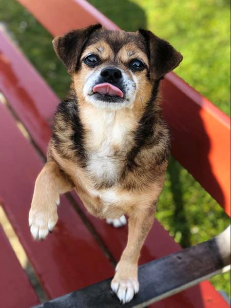 15 års fødselsdag [billedtråd]