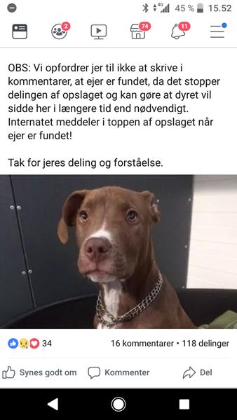 Roskilde internat fremlysning