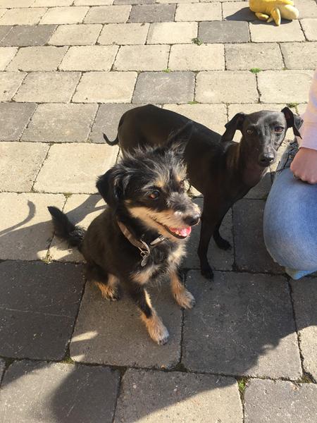 bør jeg sende hende på ferie? 