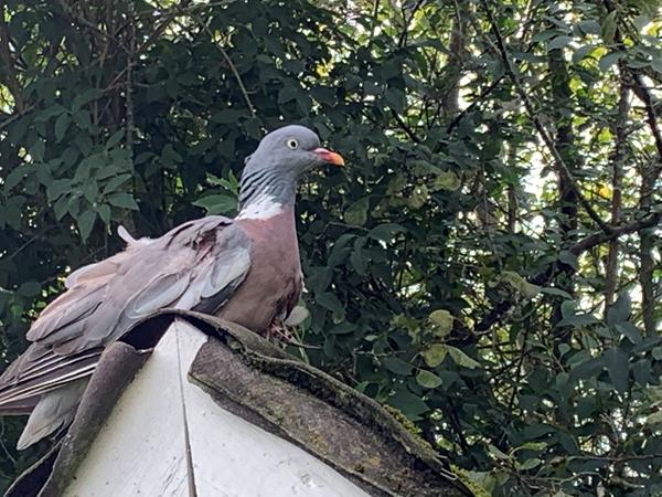 Gad vide hvad der er sket der?