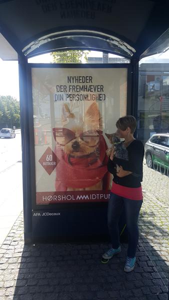 Ophængning af plakat i str XXL?