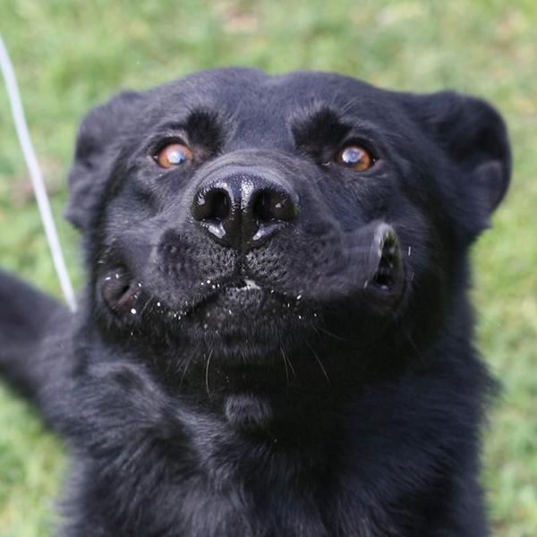 Nytårs træningstråd