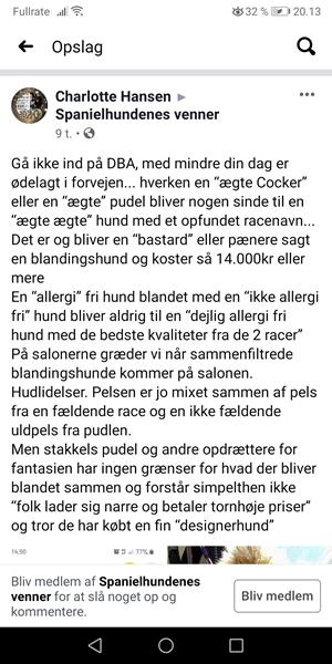 sørgeligt med hovedløse blandinger. 