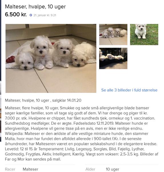 Er dette her så en fup annonce -se vedhæftede