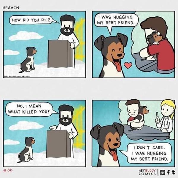 Savnet til dem der var her <3