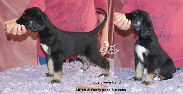 Pu-ha... Det svære valg..