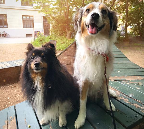 Lækre natur områder Gilleleje