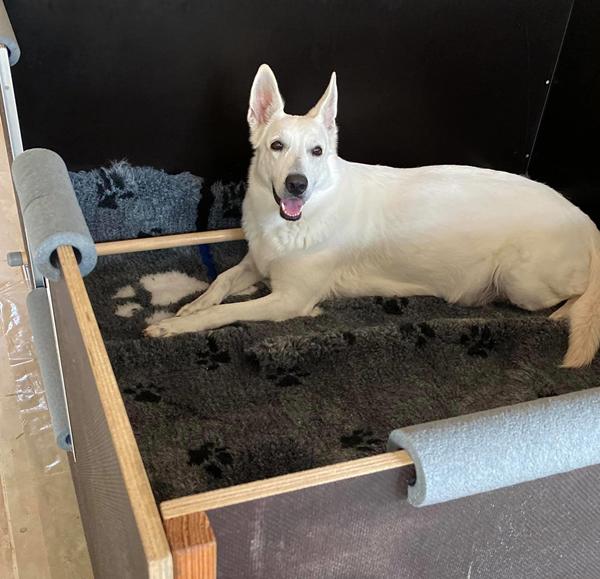 Gnocchi fødselstråd