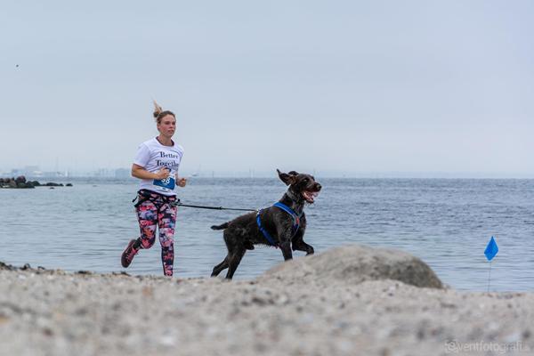 Halloween K9 Biathlon for alle -