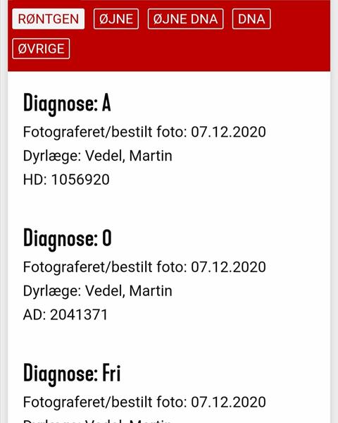 sundhedsresultater 