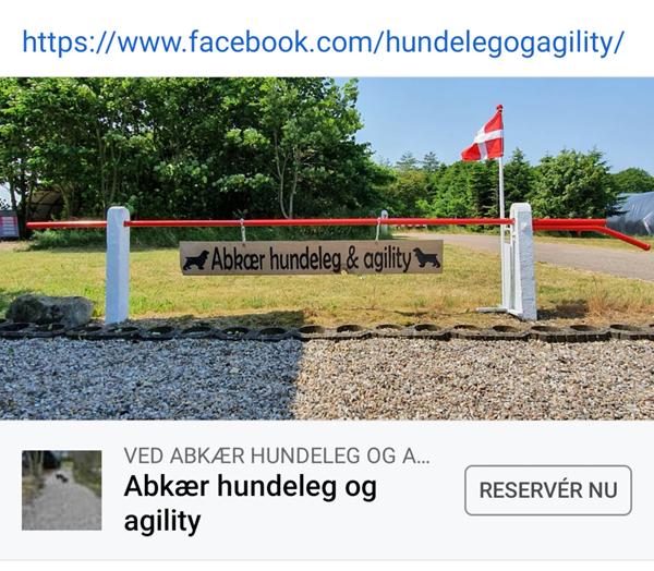 Lukket hundeplads