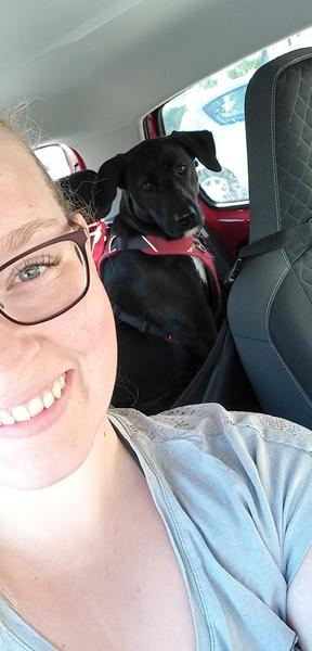 Private hundemarker udlejes til timepris Bjerringbro og omegn