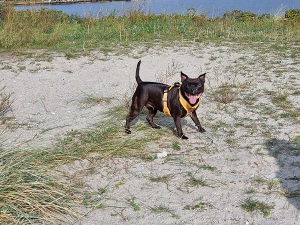 Weekendens sidste solskin