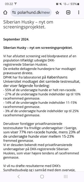 Nyt fra screening af Siberian Husky 