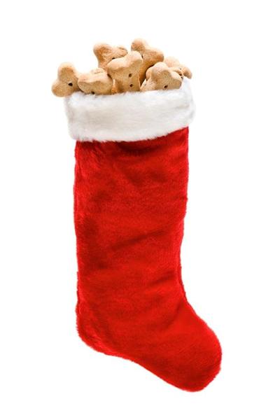 Opråb fra Dyreværnet i Rødovre