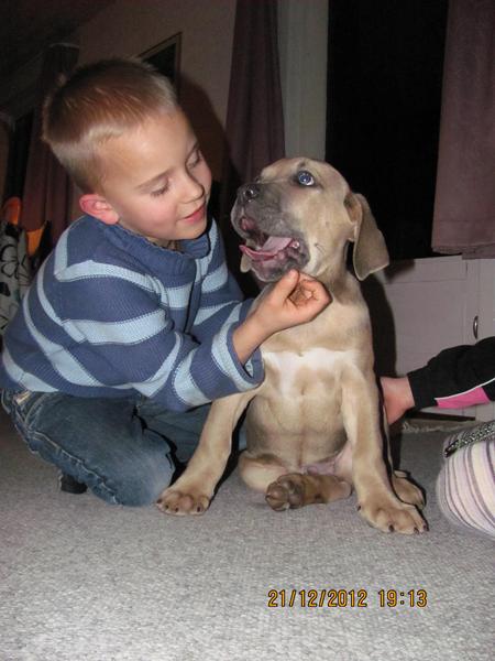 kan ikke få min hund ind på galleriet