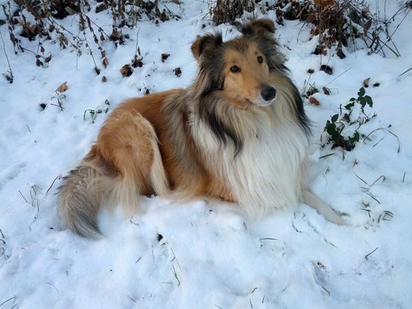 2. Januar 2013/ konkurrence