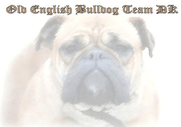 Årets første show i OEB Team.dk