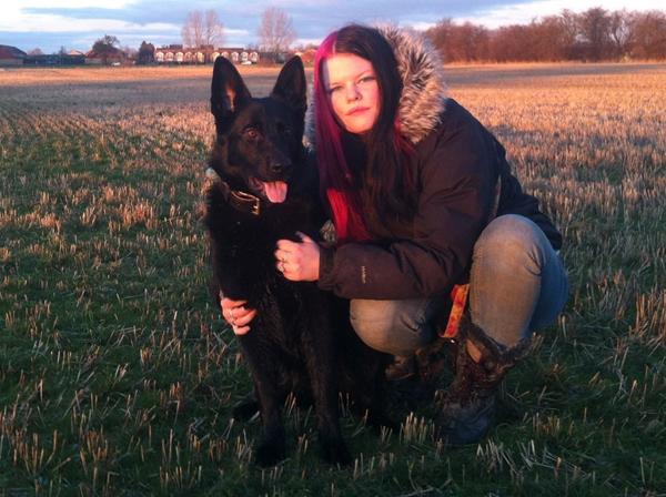 Hvad med en billedtråd?