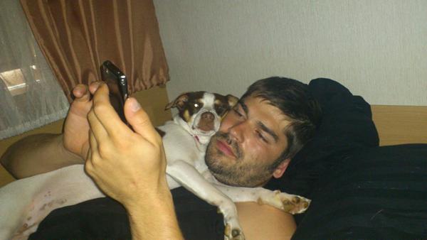 Stamtavle til Dansk/Svensk gårdhund?