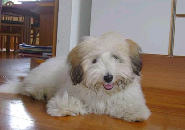 Saras fødselsdag i dag! 