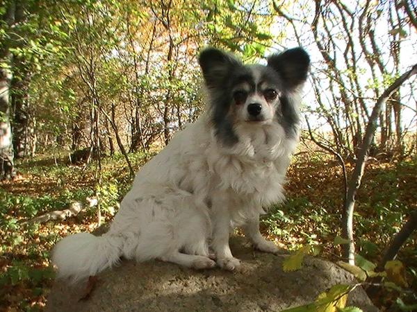 28. Januar 2013/Konkurrence