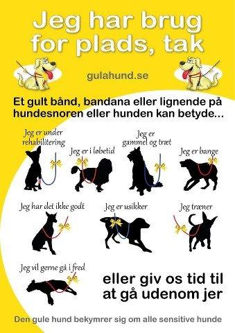 Det gule bånd!