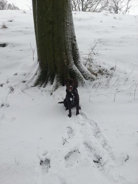 Lege kammerater søges :)