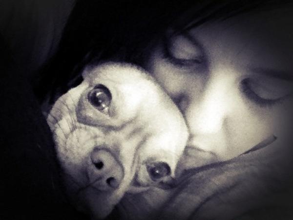 Min hund er ulykkelig, alene hjemme!