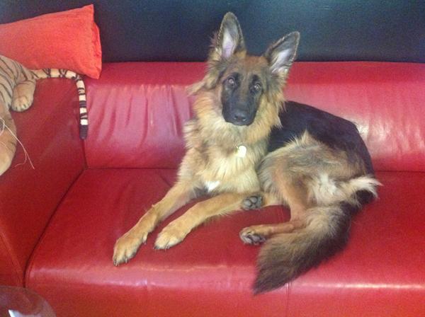 Juhu, fra usikker til stolt. 