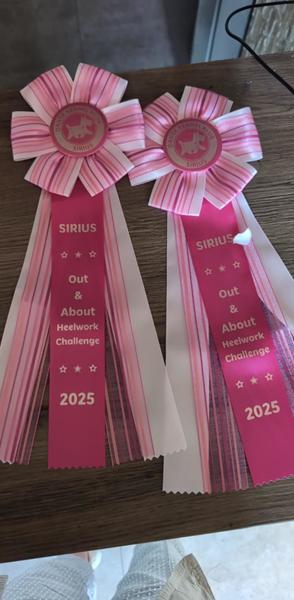 Tråd nr. 18 - stort og småt i august