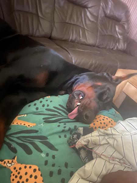 Han lignede han var død 