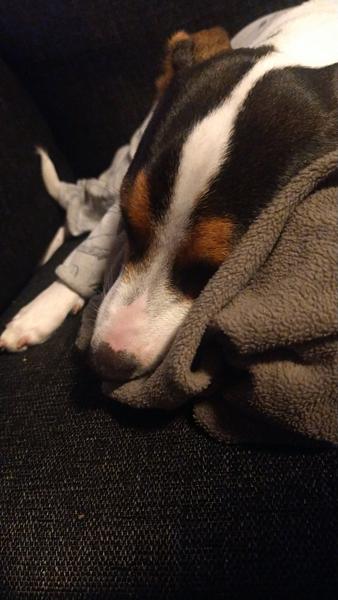 Hvad kan der være galt?