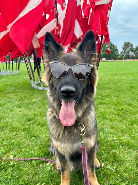 Snik snak, sladder og ævl vol. 20