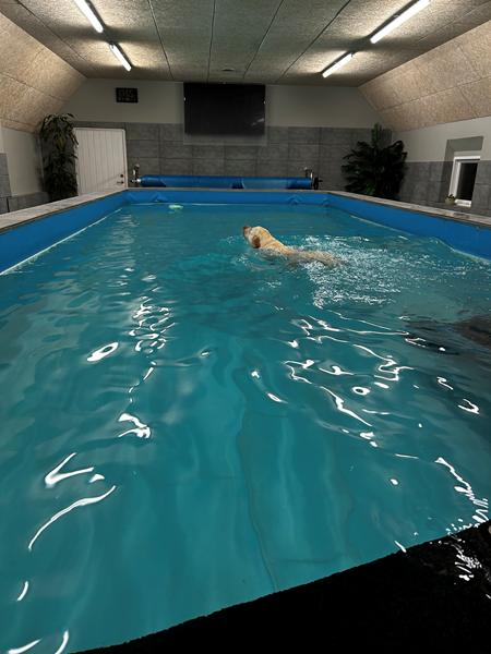 Endnu en racetråd, sorry