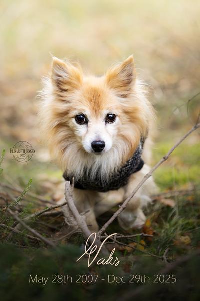 Jeg har ikke rigtig ord lige nu 