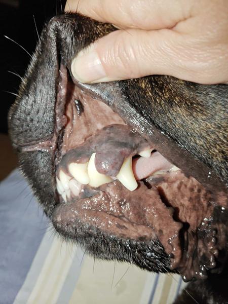 Har lige brug for lidt hjælp / bud 