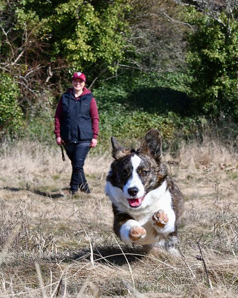 Snik snak 2026, vol. 5